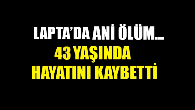 Ani Ölüm