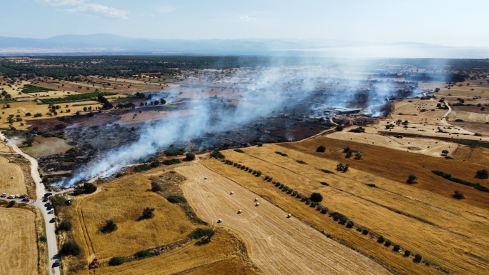 Koruçam’da 250 dönümlük arazi yandı