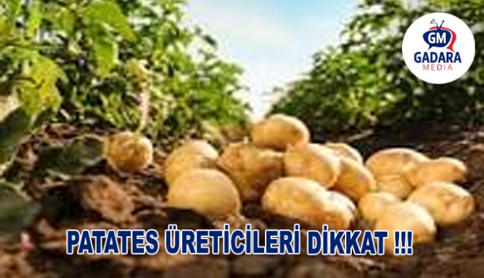 PATATES ÜRETİCİLERİNİN DİKKATİNE