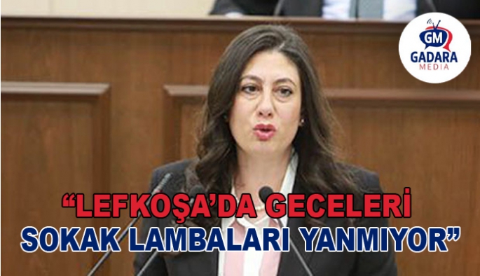 Sıla Usar İncirli: Lefkoşa’ya üç yeni geçiş noktası için gerekeni yapacağız