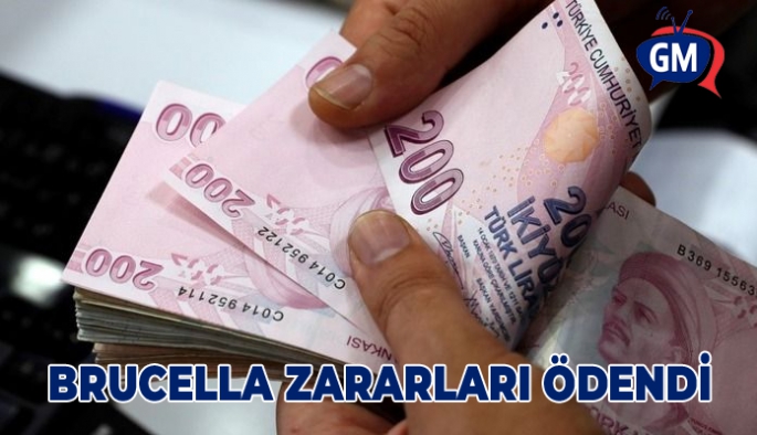 BRUCELLA ZARARLARI ÖDENDİ