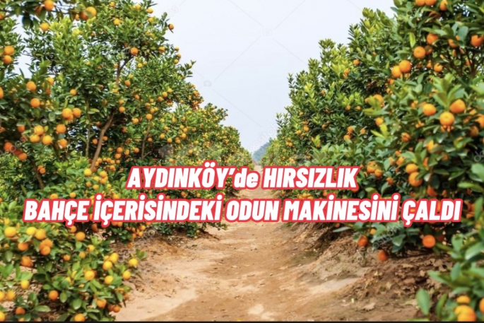 Aydınköy’de bahçe içerisindeki odun makinesini çaldı