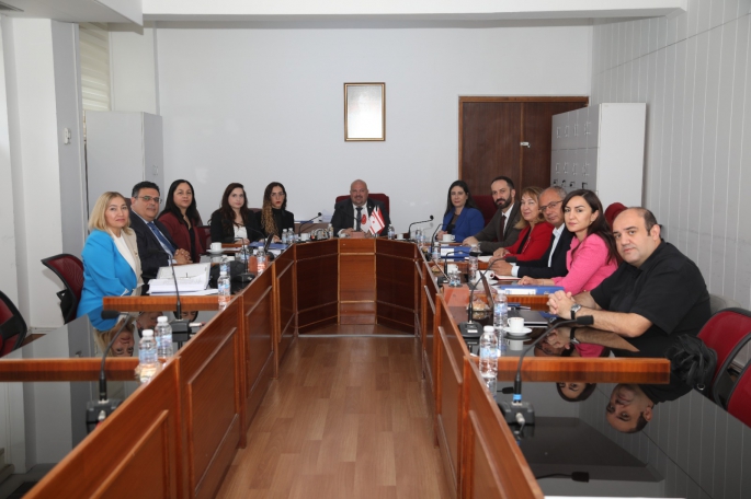 Yükseköğrenim kurumları ve YÖDAK'la ilgili Meclis araştırma komitesi YÖDAK Başkanı Hocanın'ı dinledi