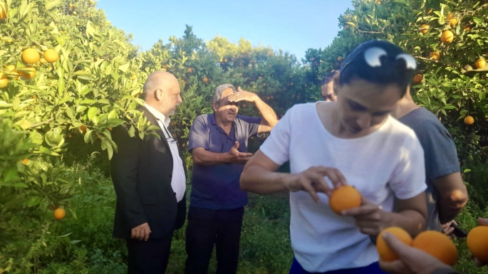 İŞAD, narenciye üreticisinin yaşadığı sıkıntıları yerinde görmek üzere Akçay Köyü’nü ziyaret etti