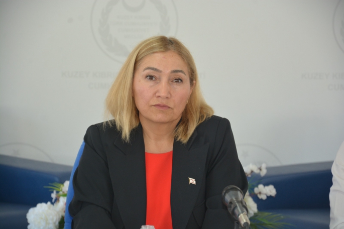 Taşınmaz mal edinmeyle ilgili tasarı