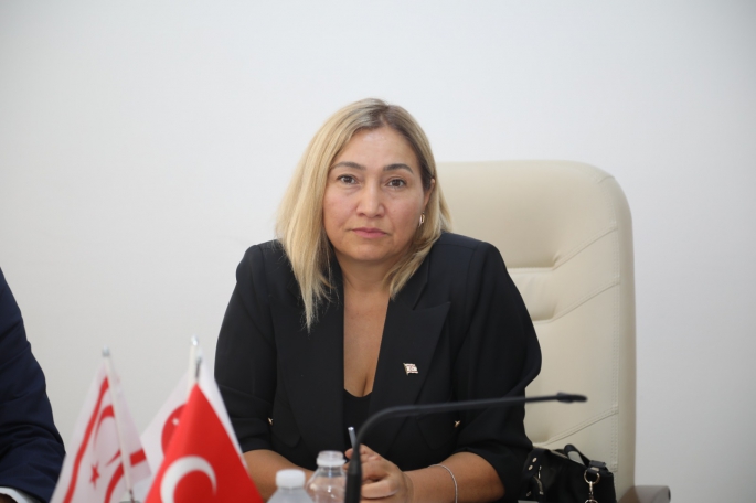 Yabancılar ve Muhaceret (Değişiklik) Yasa Tasarısı komitede onaylandı