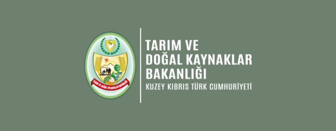 2024 Yılı Küçükbaş Hayvan Başı Desteklerinin II. taksit ödemesi yapılıyor