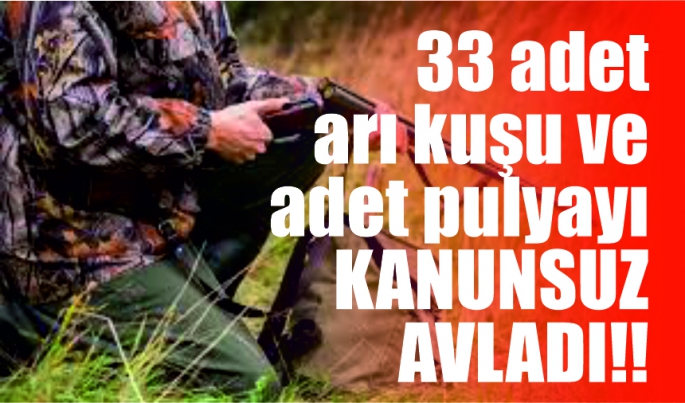 33 arı kuşu ve bir pulyayı kanunsuz avlayan kişi hakkında yasal işlem