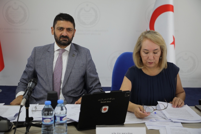 İdari, Kamu ve Sağlık İşleri Komitesi toplandı