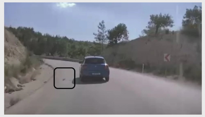 Çevre Koruma Dairesi, çöp atan araç sürücüsüne ceza kesti