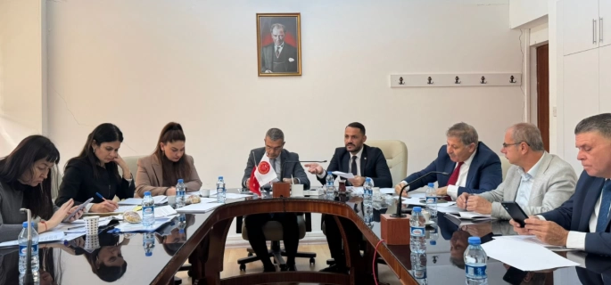 Sayıştay Komitesi, mali gelirlerle ilgili 2 raporu onaylayarak Genel Kurul’a sevk etti