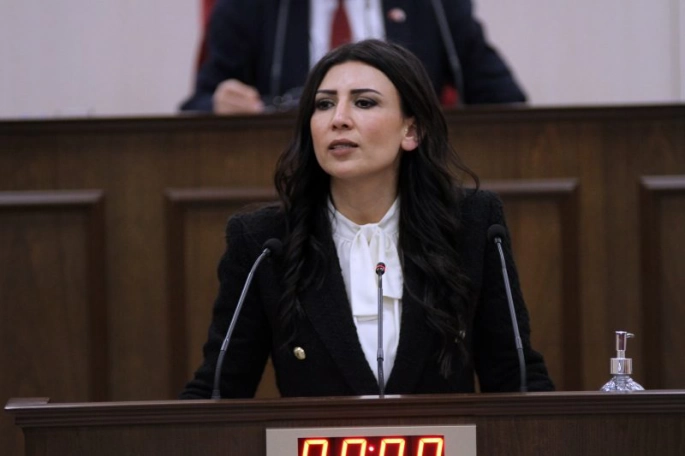 Özdenefe: Meclis işlevselliğini yitirme noktasına geldi