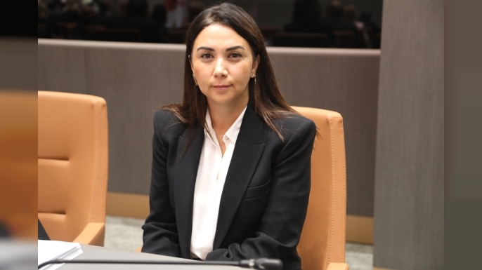 Baybars: “Sabıka Kaydı Yasası, toplum güvenliği açısından risk taşıyor”