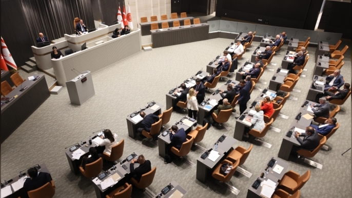 Genel Kurul, yasama ve denetim göreviyle toplanacak