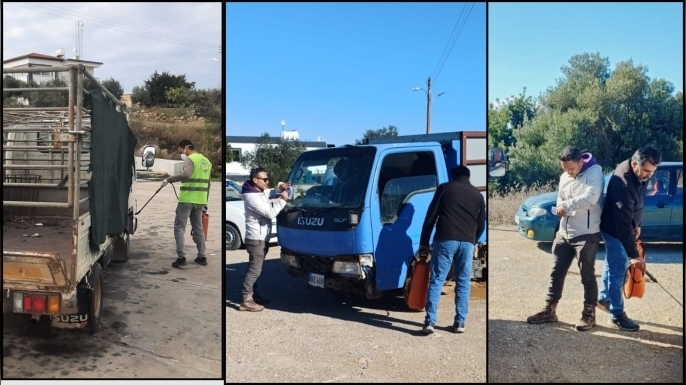 Erenköy-Karpaz Belediyesi, şap hastalığına karşı önleyici tedbirleri hayata geçirdi