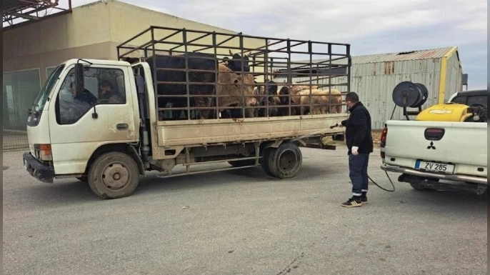 LTB şap hastalığına karşı önleyici tedbirleri hayata geçirdi
