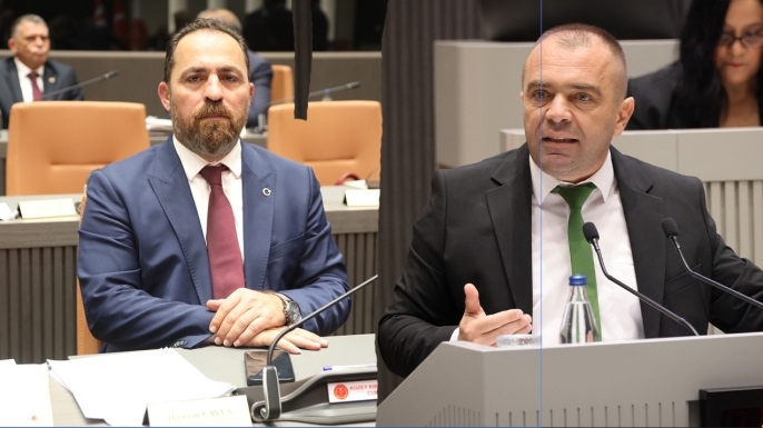 Meclis’te gündem narenciye