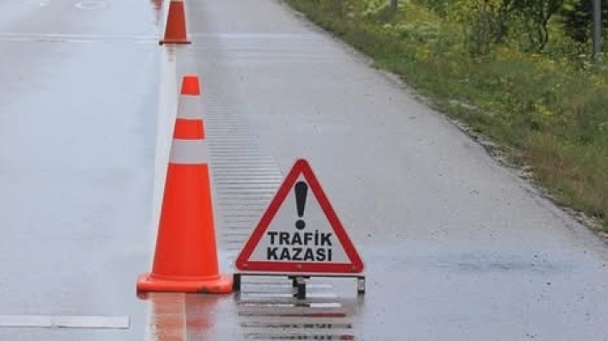 Yenierenköy–Dipkarpaz yolunda dikkatsiz sürücü eşeklere çarptı: 3 eşek hayatını kaybetti, 2 kişi yaralandı