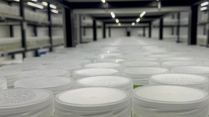 ABD’de “yasa dışı biyolojik laboratuvar” işletildiği şüphesiyle İsrail vatandaşı 1 kişi gözaltına alındı