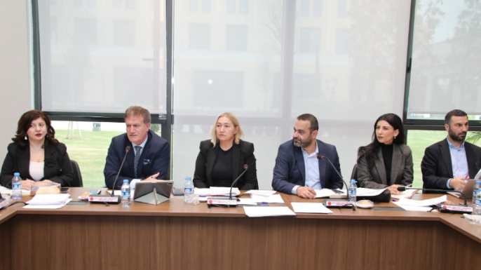Fiber optik altyapısı ile ilgili işbirliği protokolü Meclis Komitesinde görüşülmeye başlandı