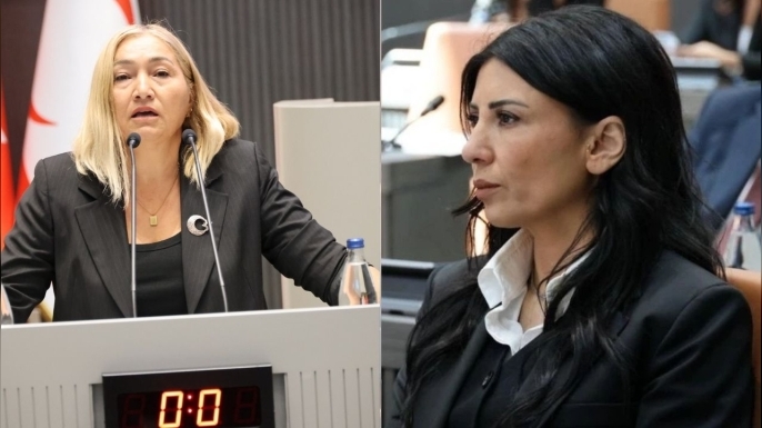 Meclis’te Komite Tartışması: Özdenefe’den Eleştiri, Öztürk’ten Yanıt