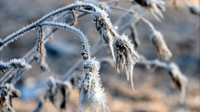 Meteoroloji'den don ve fırtına uyarısı