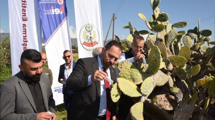 Babutsa koşniline karşı doğaya ilk kez avcı böcek bırakıldı