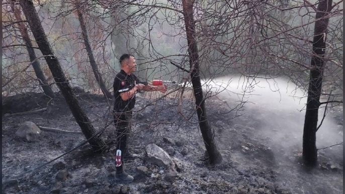 Serdarlı’da yangın müdahalesi: Soğutma çalışmaları sürüyor