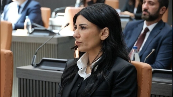 Özdenefe: “Güvenlik toplam suç sayısından, nüfus da kelle hesabından ibaret değil”