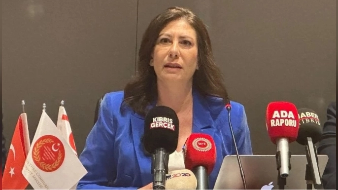 Sıla Usar İncirli: Suç işlenmeden önce riskler belirlenmeli