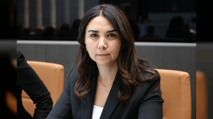 Ayşegül Baybars: Sandığa gitmemek karşı olduğumuz yapıların güçlenmesine neden olabilir