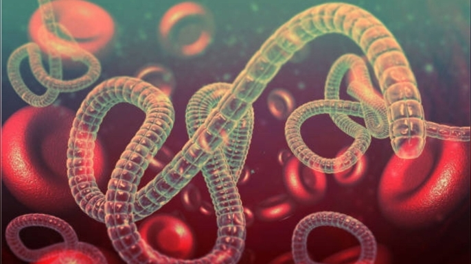 ABD, Ebola salgını nedeniyle ülkeye girişlerde denetimi artıracak