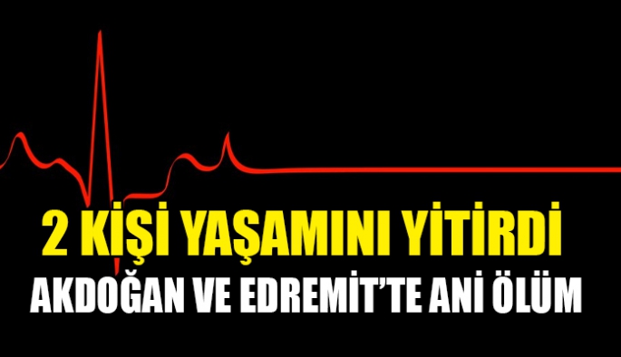 Ani ölüm