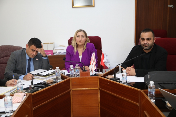 Cumhuriyet Meclisi, Hukuk, Siyasi İşler ve Dışilişkiler Komitesi toplandı