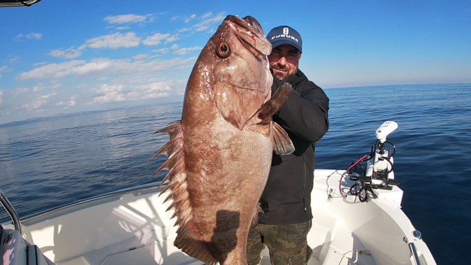 Erkan Bahçeci ve Arda Kansay’ın bereketli avı 32 kg Epinephelus Caninus balığı yakaladılar