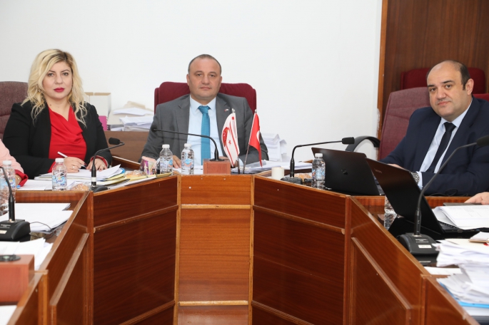 İstatistik Kurumuyla ilgili Meclis komitesi Başkan Demir'i dinledi