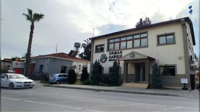 İzinsiz ağaç kesip, ateş yakmaya 3 asgari ücret tutarında para cezası