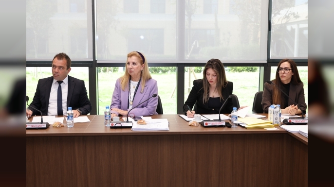Kamu Finansmanı ve Borç Yönetimi Kararnamesi Komiteden Geçti