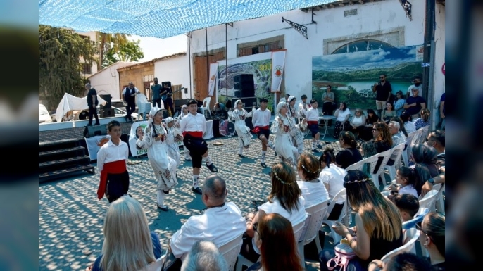 Lefke'de Ceviz Festivali yapıldı