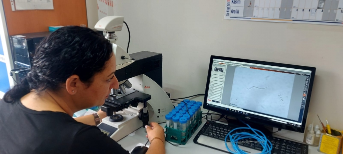 Nematoloji laboratuvarının aktif hale getirilmesi için adım atıldı