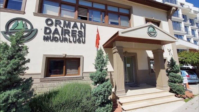 Orman Dairesi: Boğazköy'deki ağaç kesimi izinsiz yapıldı.. Yasal işlemler başlatıldı