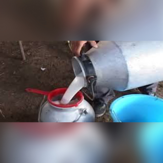 SÜT BEDELLERİ ÖDENİYOR