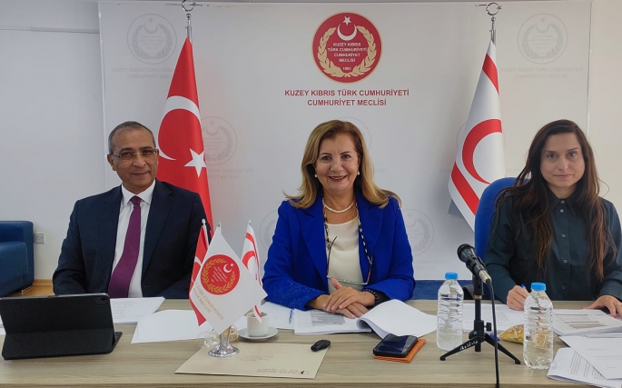 “Tasarruf Mevduatı Sigortası ve Finansal İstikrar Fonu (Değişiklik) Yasa Tasarısı” Genel Kurula sevk edildi