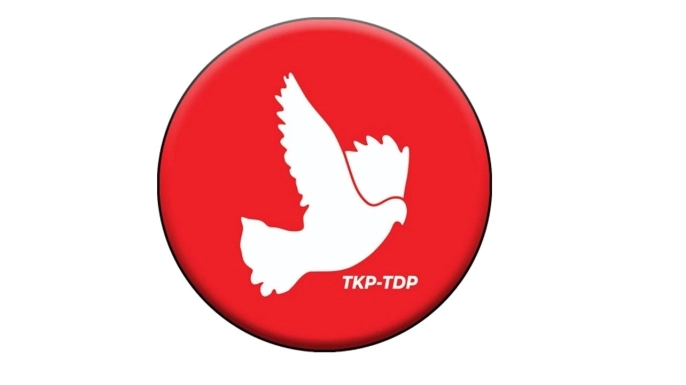 TDP, Ev İçi Şiddet Yasası’nın geçmesi için çağrı yaptı