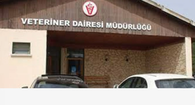 Veteriner Dairesi’nden hayvan kesimi ile ilgili uyarı
